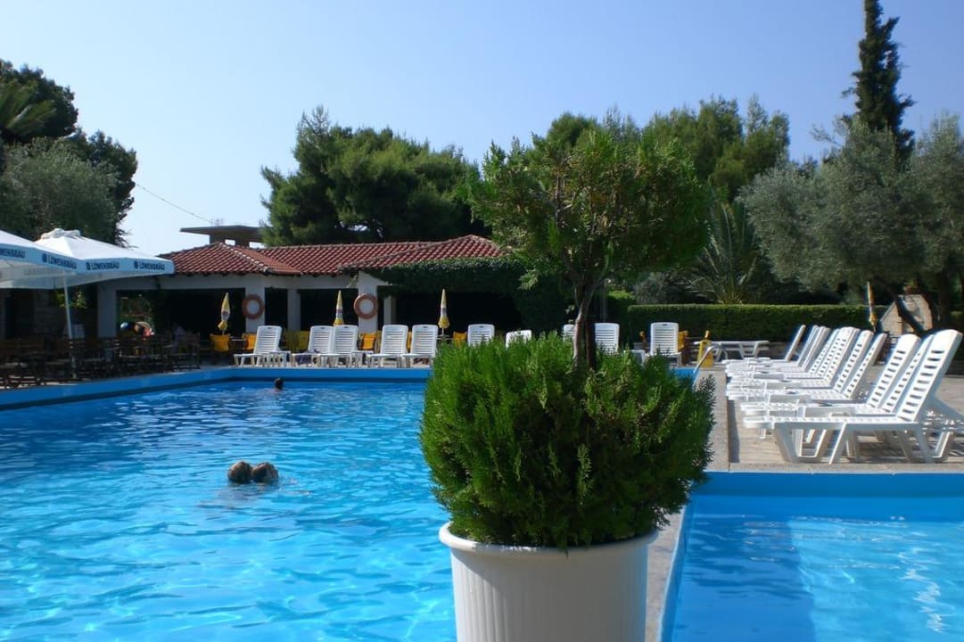 Der Pool Philoxenia Hotel