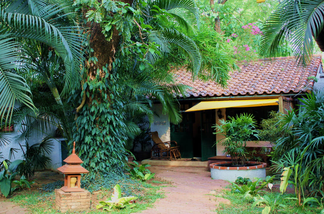 Raintree Bungalow Secret Garden Chiang Mai
