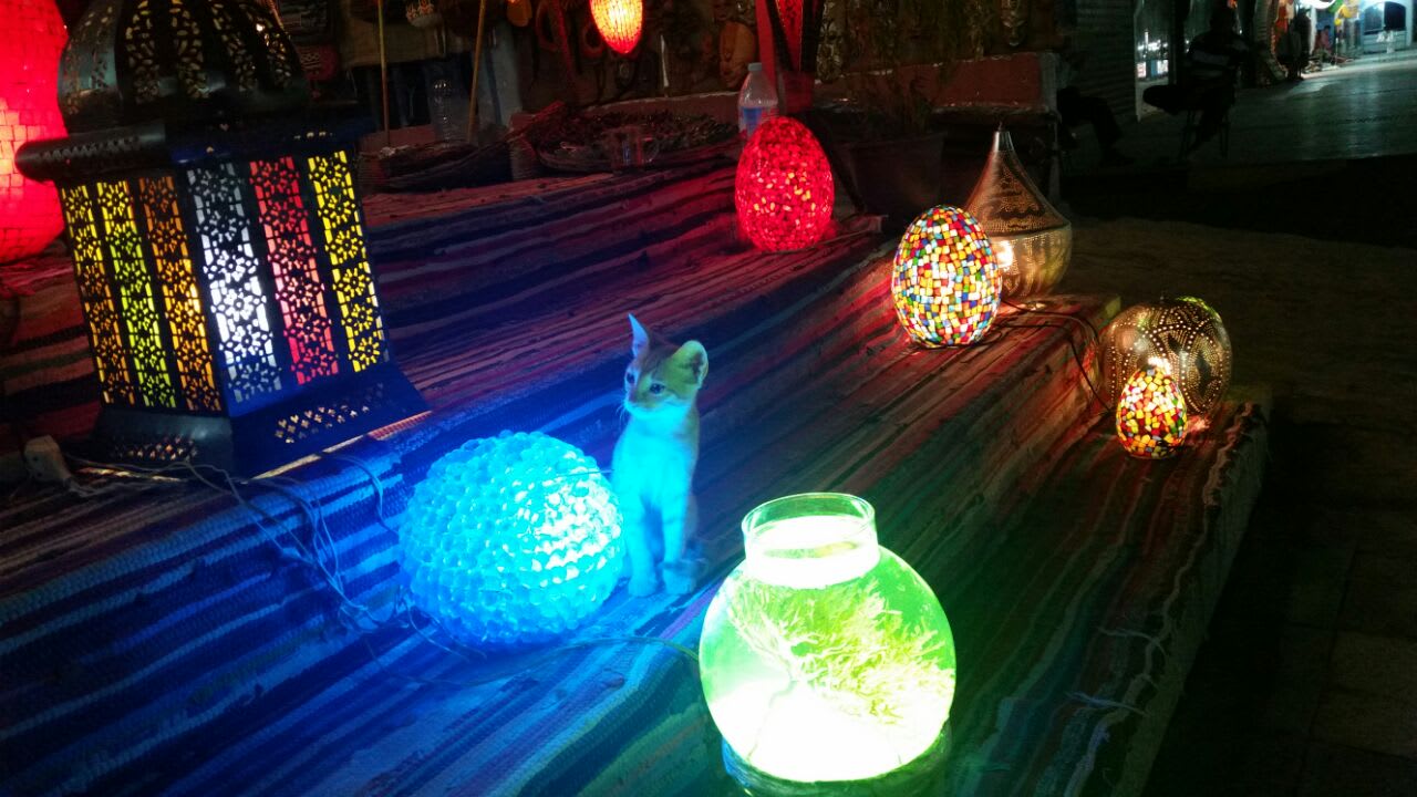 Sonstiges Steigenberger Aqua Magic