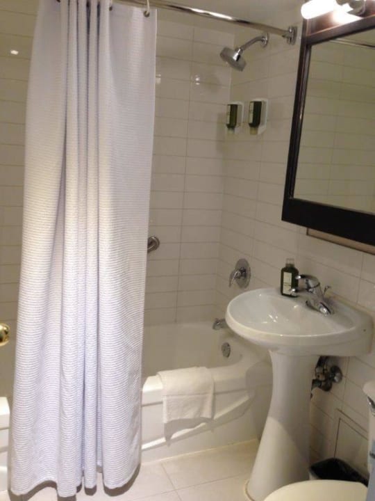 Hotel Strathcona,Toronto Hotel Strathcona