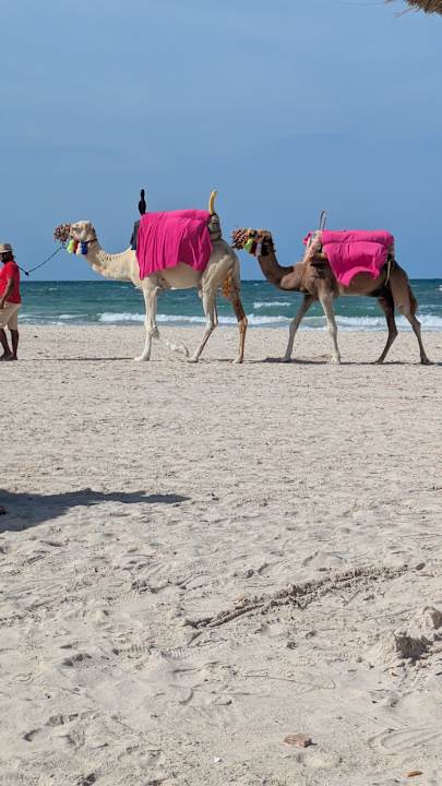 Strand Calimera Yati Beach