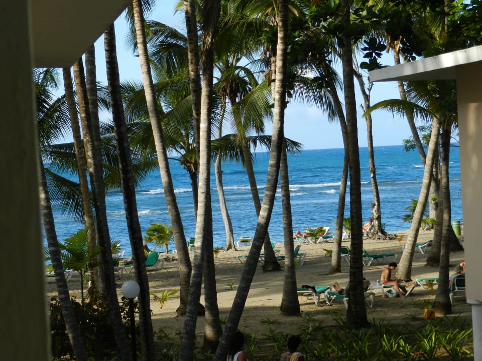 Blick vom Balkon zum Strand Playabachata Hotel