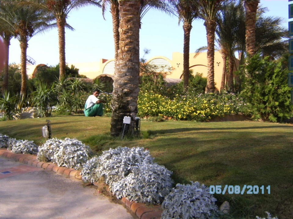 Bepflanzung Jaz Makadi Oasis Resort