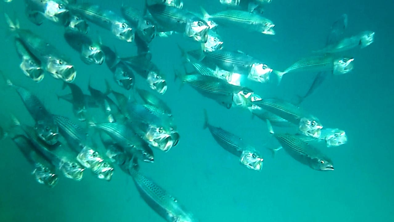 Sport & Freizeit Brayka Bay Resort