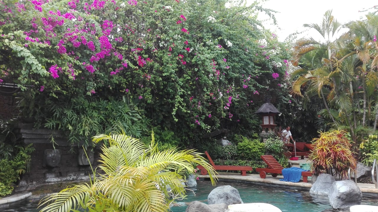 Pool Poppies Bali