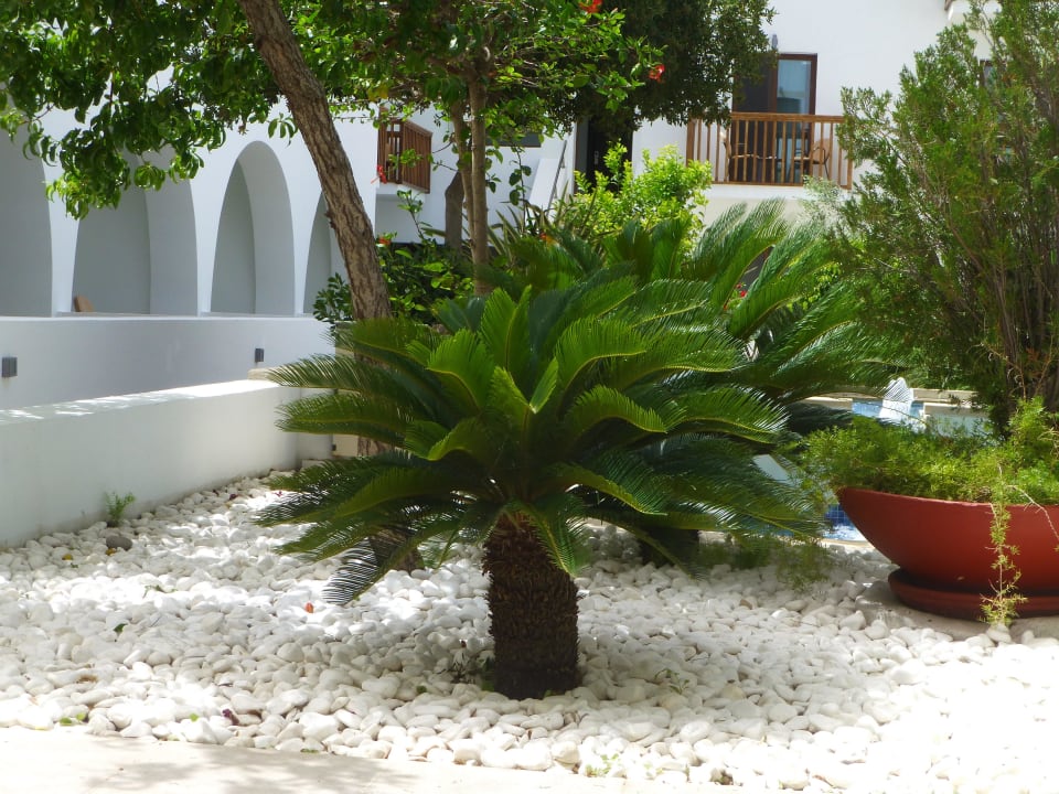 Innenhof einfach toll angelegt TUI BLUE Oceanis Beach and Spa Resort