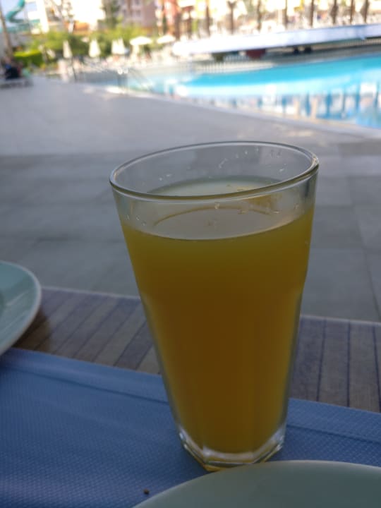 Gastro Alaiye Resort & Spa