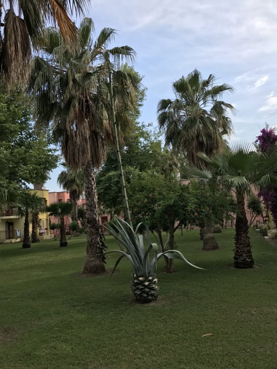 Gartenanlage VONRESORT Golden Beach