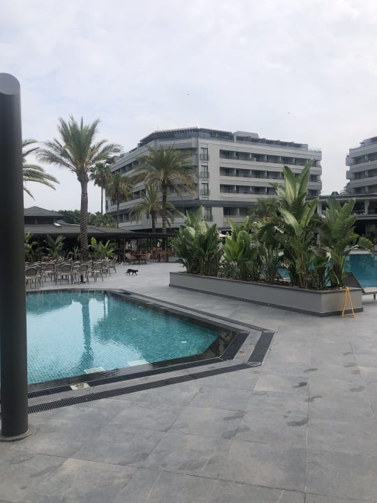 Pool Hotel Miramare Beach