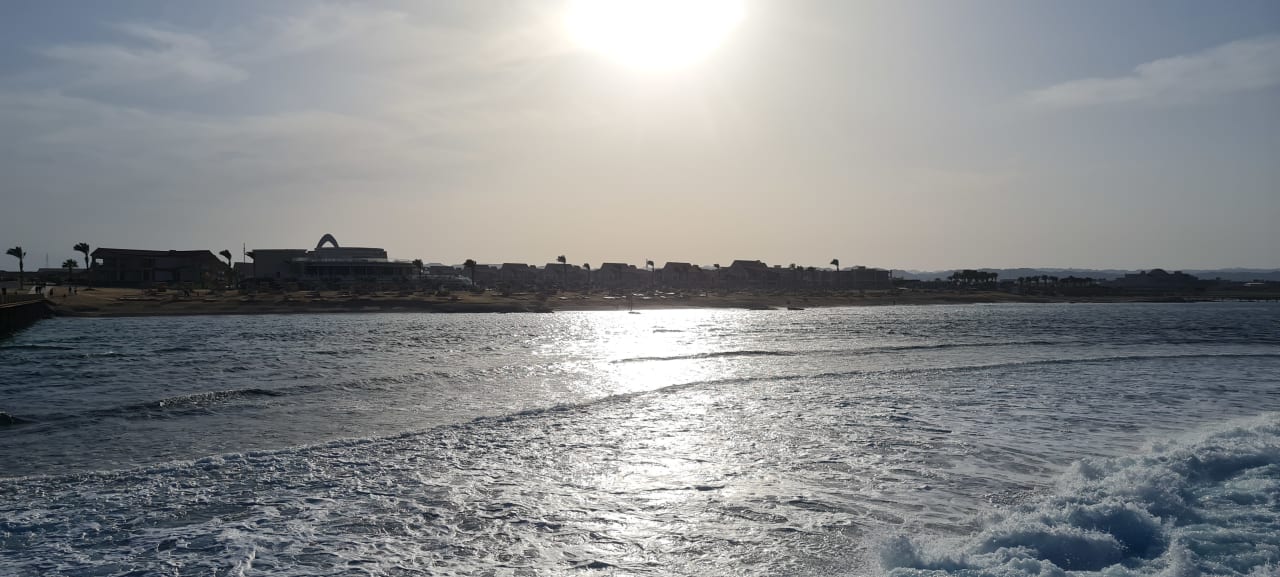 Strand Pickalbatros Sea World Resort - Marsa Alam