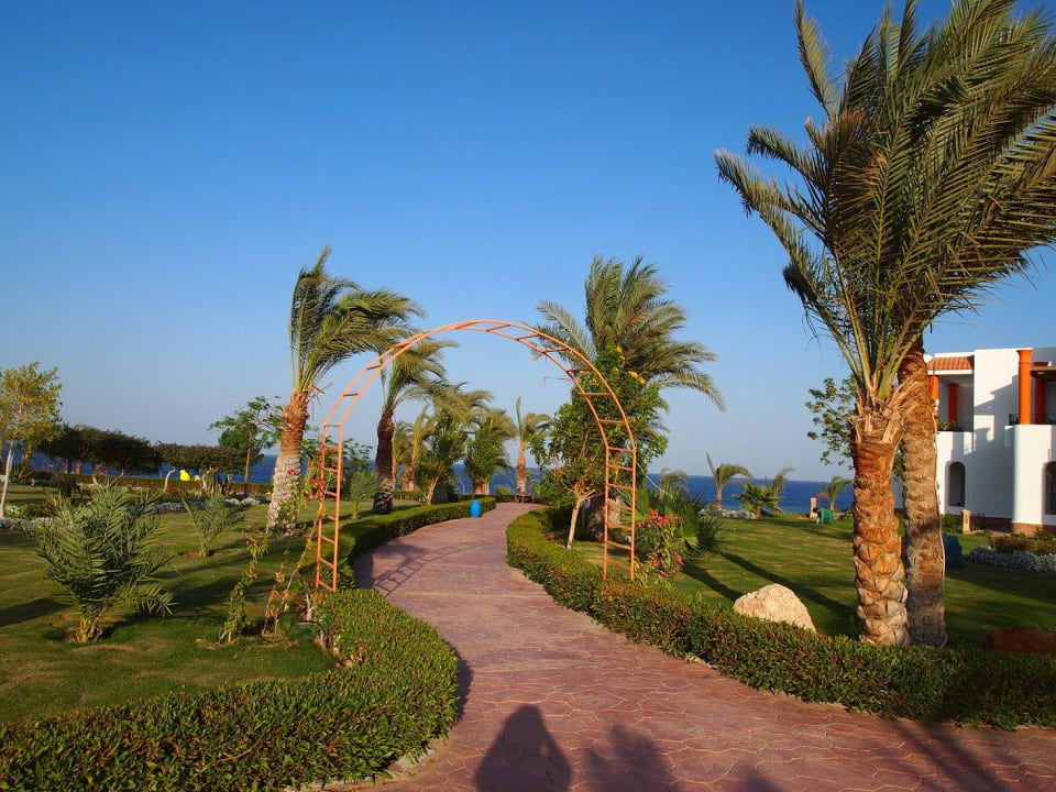 . Fantazia Resort Marsa Alam