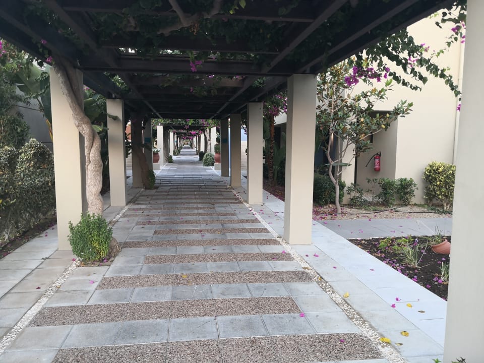 Sonstiges Astir Odysseus Kos Resort & Spa