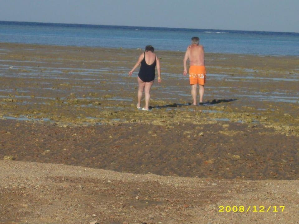 Strand Stella Beach Resort & Spa Makadi Bay