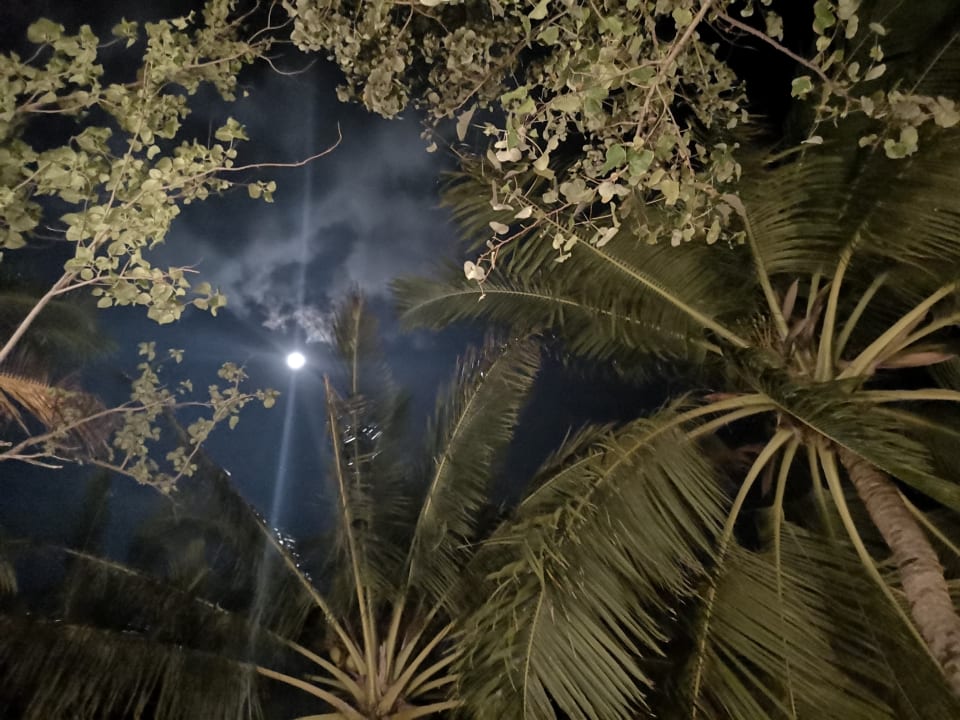 Ausblick Ellaidhoo Maldives by Cinnamon