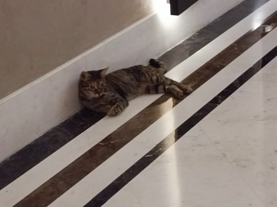 Sonstiges Haydarpasha Palace