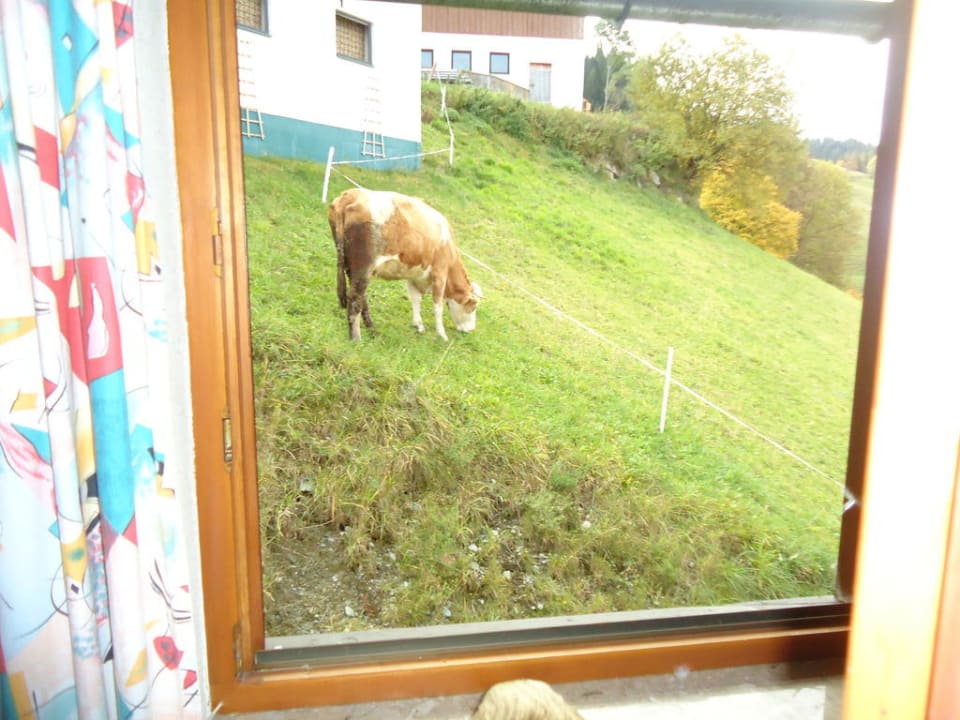 Fröhliches Guten Morgen vor dem Kinderzimmer Bergbauernhof Pension Irxner