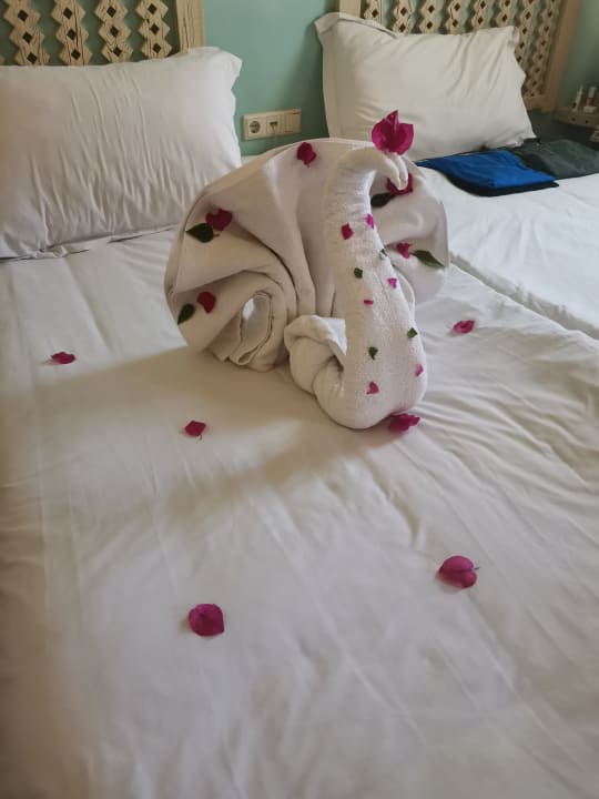 Zimmer Radisson Blu Resort, El Quseir