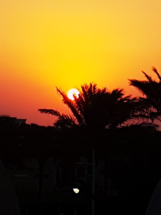 Ausblick Steigenberger Aqua Magic