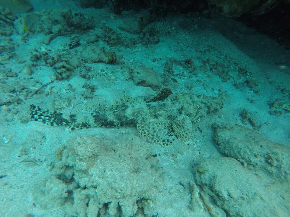 Sport & Freizeit Bliss Nada Beach Resort