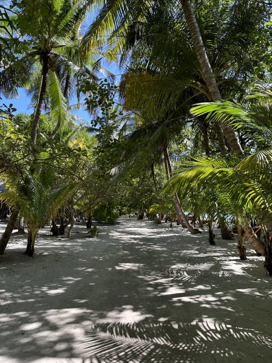 Gartenanlage Kuramathi Maldives