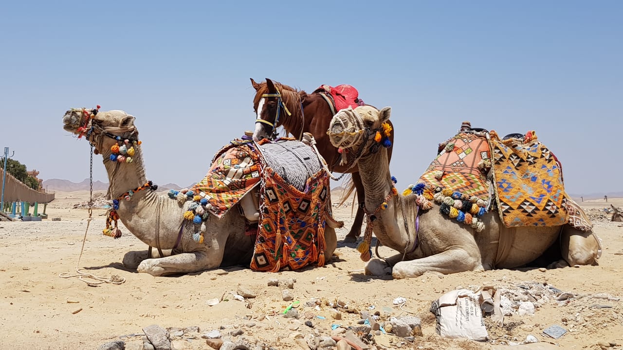 Außenansicht Sentido Akassia Beach