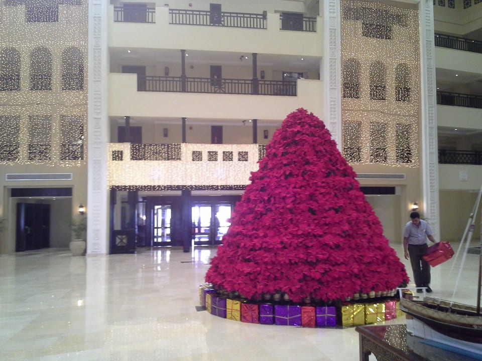 Weihnachtsbaum aus Weihnachssternen Steigenberger ALDAU Beach Hotel