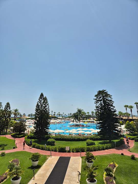 Pool Hotel Miracle Resort