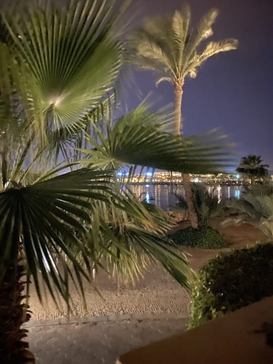 Ausblick Steigenberger Coraya Beach - Adults only