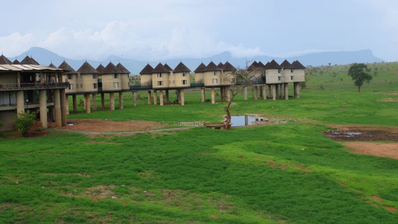 Tolle Lodge,unbedingt zu empfehlen Salt Lick Safari Lodge