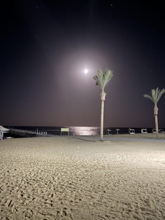 Strand Pickalbatros Sea World Resort - Marsa Alam