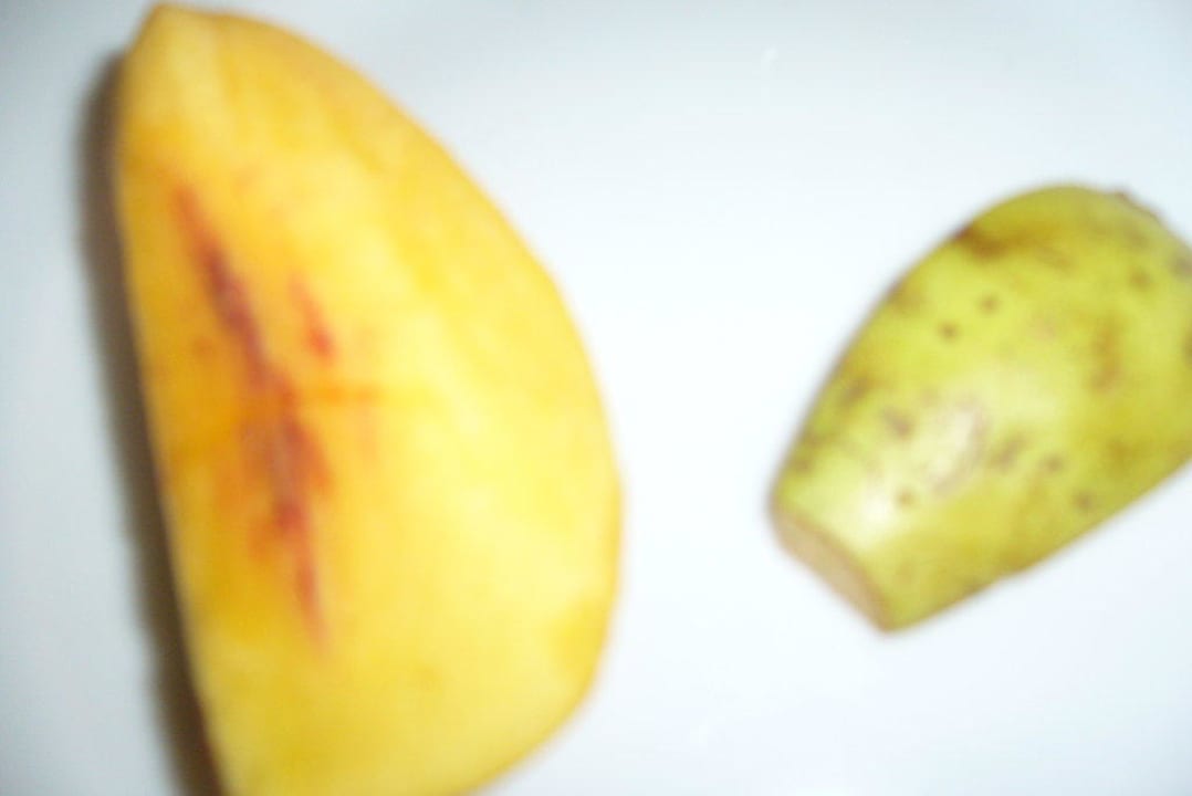 Obstbüffet Hotel Athos Palace