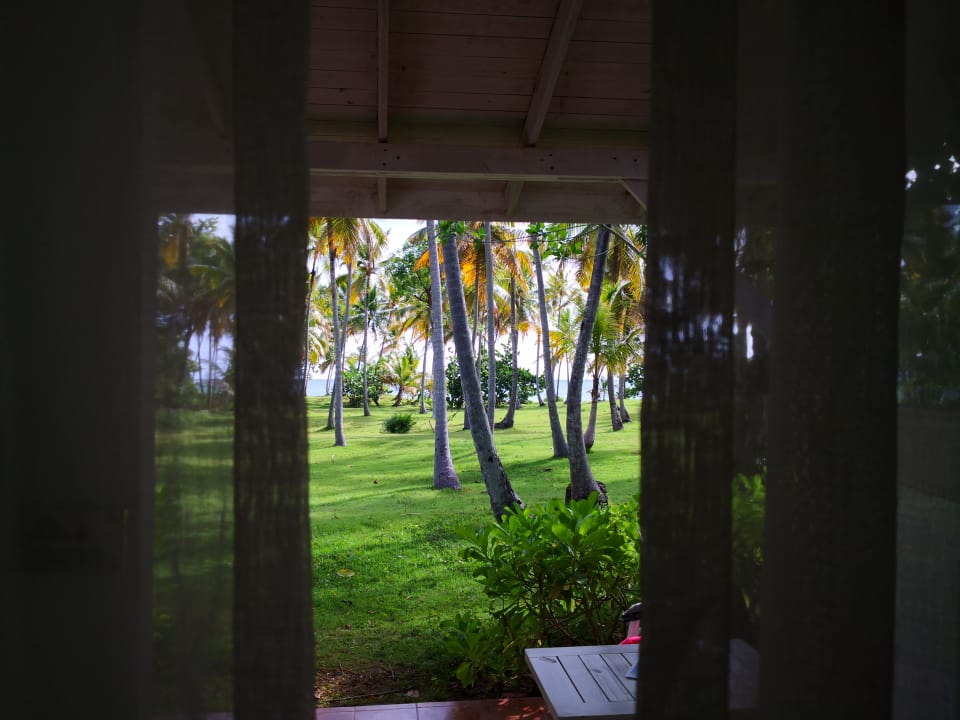 Ausblick Wyndham Alltra Samana