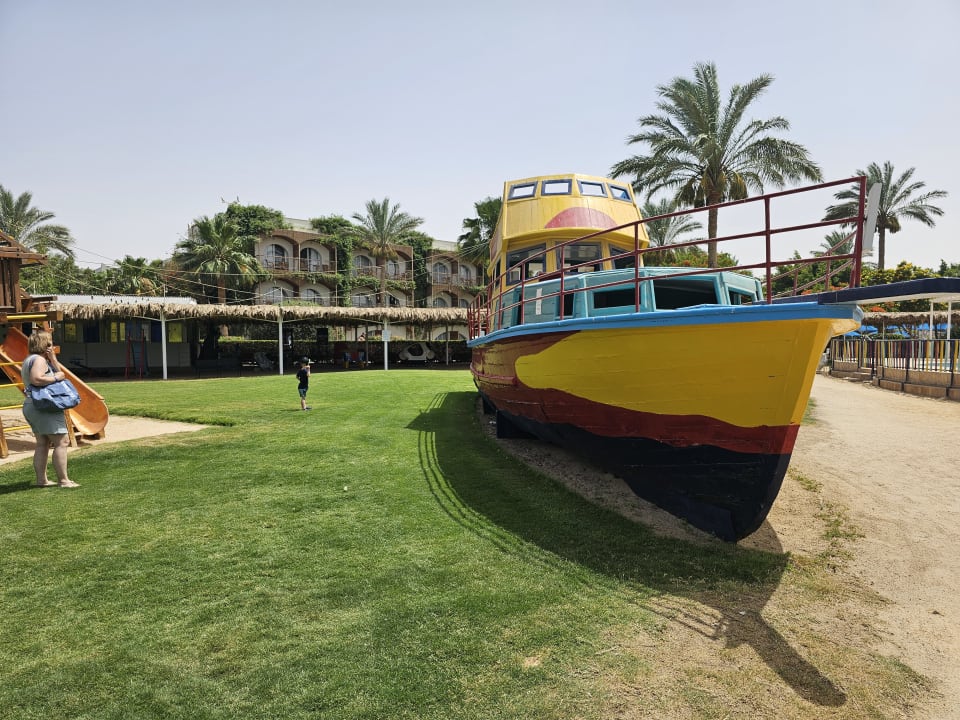 Sport & Freizeit Desert Rose