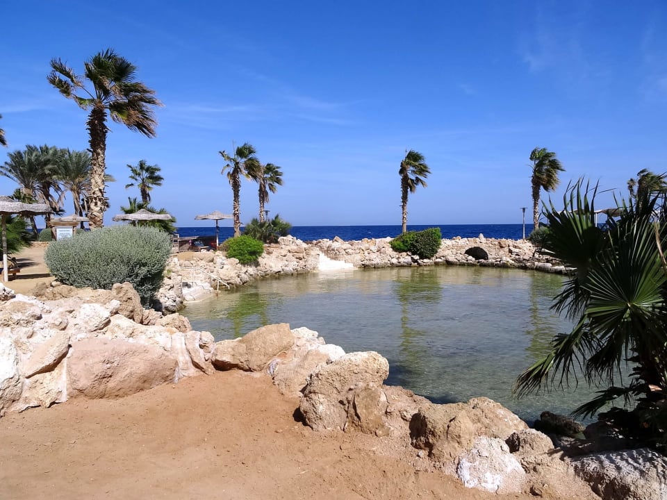 Lagune Pickalbatros Citadel Resort