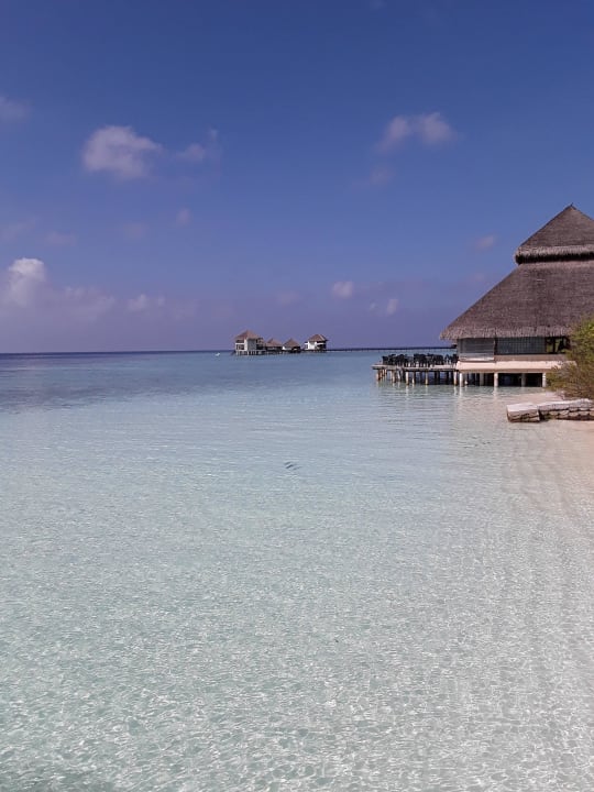 Orgie aus Licht und Wasser  Adaaran Club Rannalhi - All Inclusive