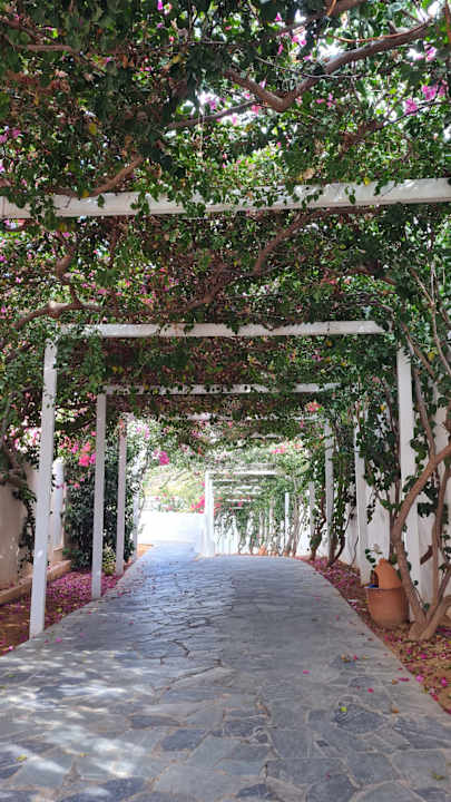 Gartenanlage Knossos Beach Bungalows Suites Resort & Spa