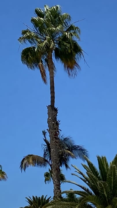 Ausblick Suites & Villas by Dunas