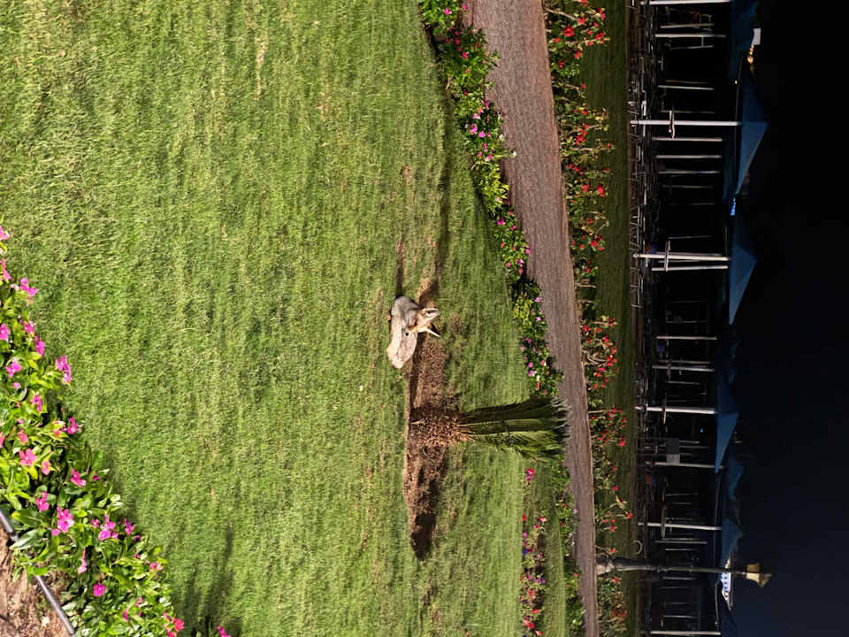 Gartenanlage The V Luxury Resort Sahl Hasheesh