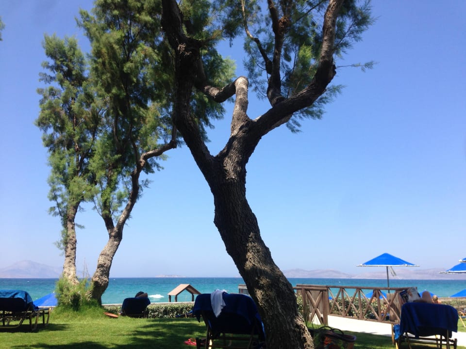 Rasenstrand Neptune Luxury Resort