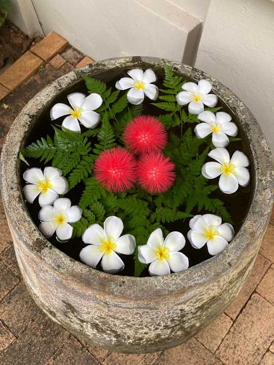 Außenansicht Khaolak Oriental Resort - Adults only