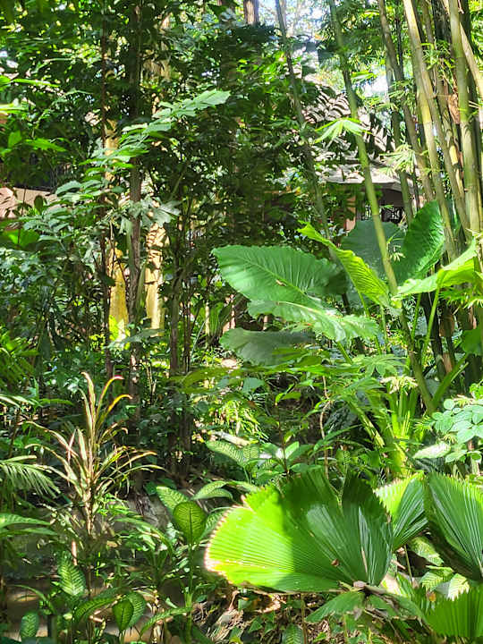 Gartenanlage Khao Lak Merlin Resort