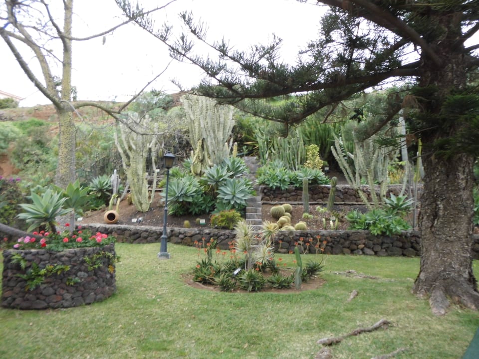 Garten BLUESEA Costa Jardin Spa