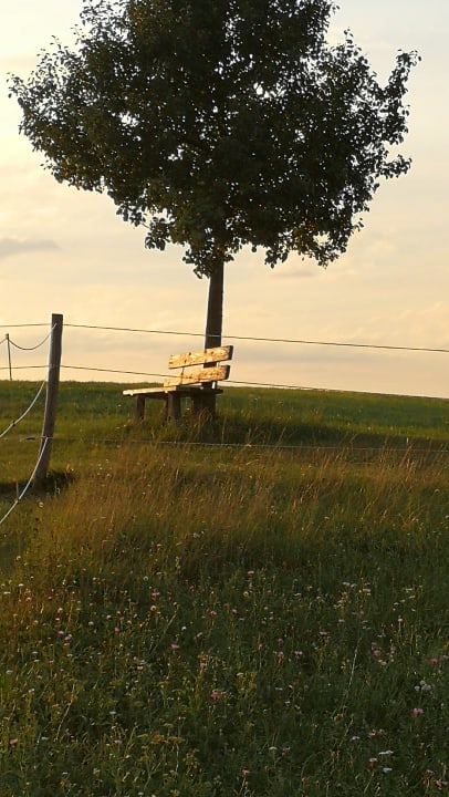 Ausblick Höglerhof  Ferienwohnung Westenburger