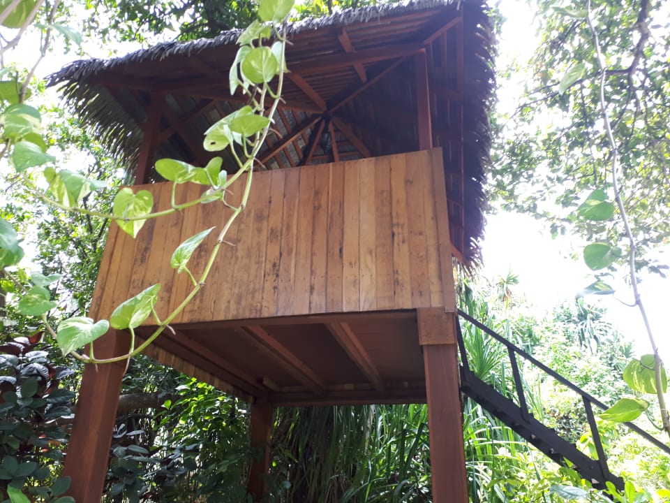 Gartenanlage Adaaran Select Meedhupparu Island Resort - Premium All Inclusive