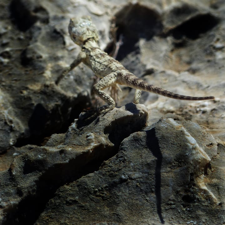 Sonstiges Hotel Kalithea Horizon Royal