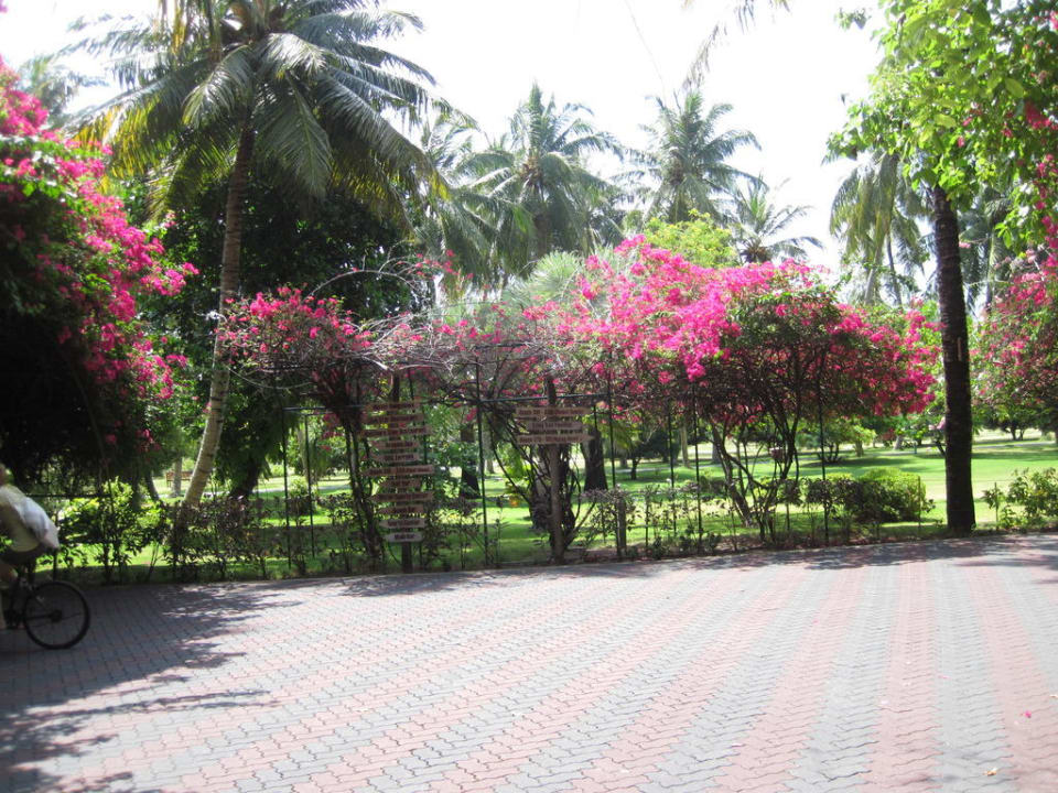 Gartenanlage Villa Park Sun Island