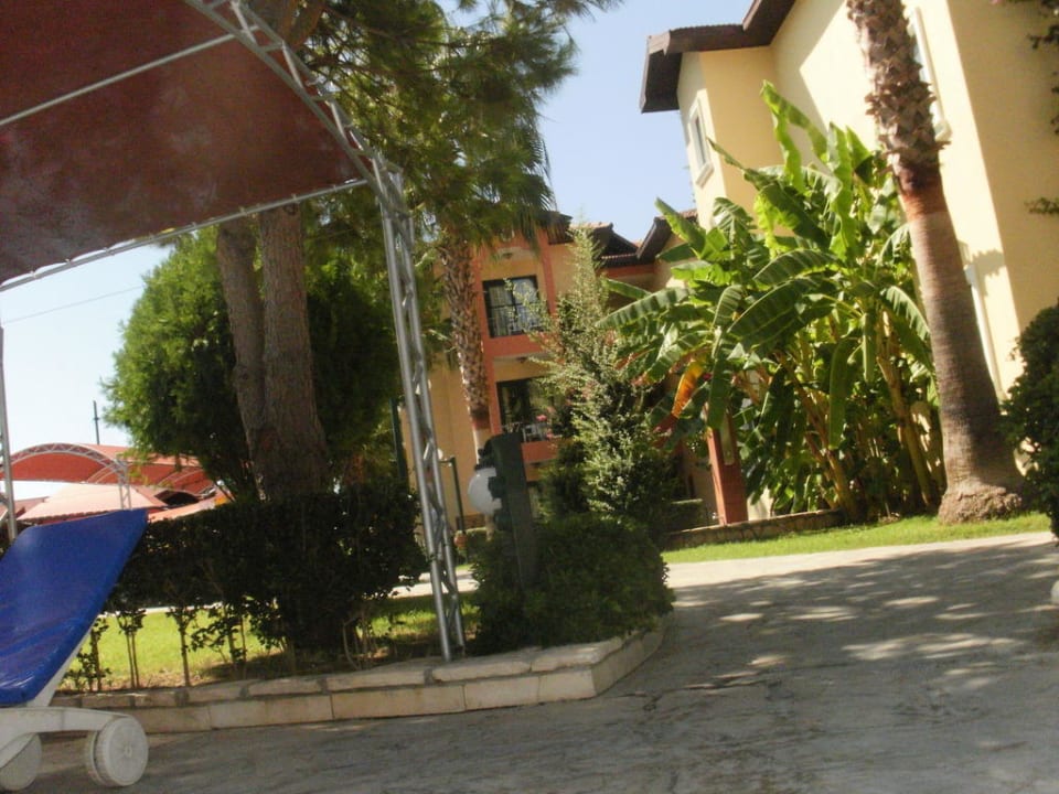 Garten Miramare Queen Hotel