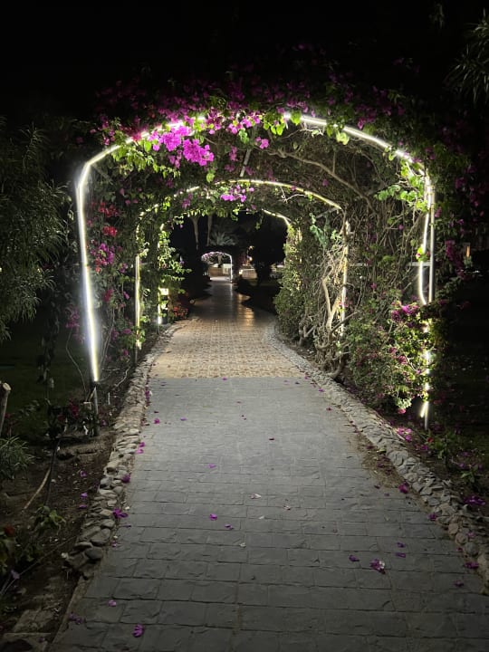 Gartenanlage Hurghada Long Beach Resort