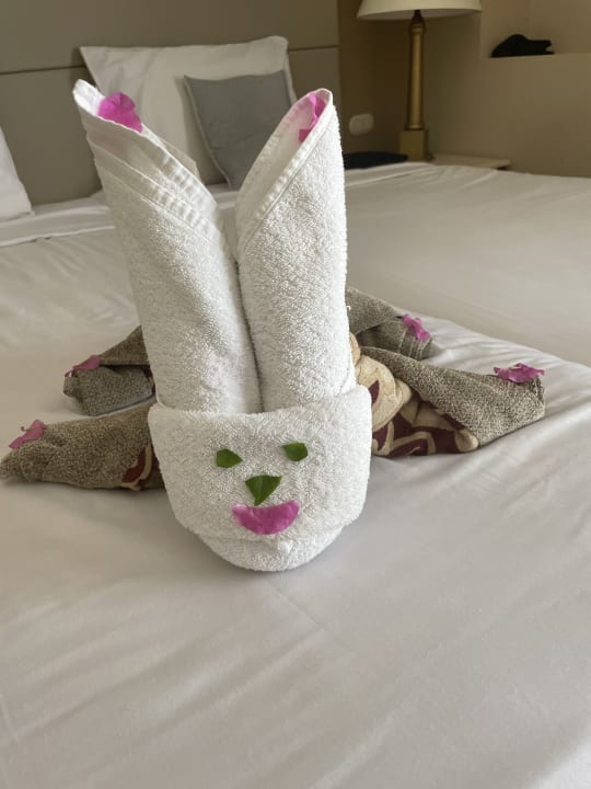 Zimmer Jaz Makadi Saraya Resort