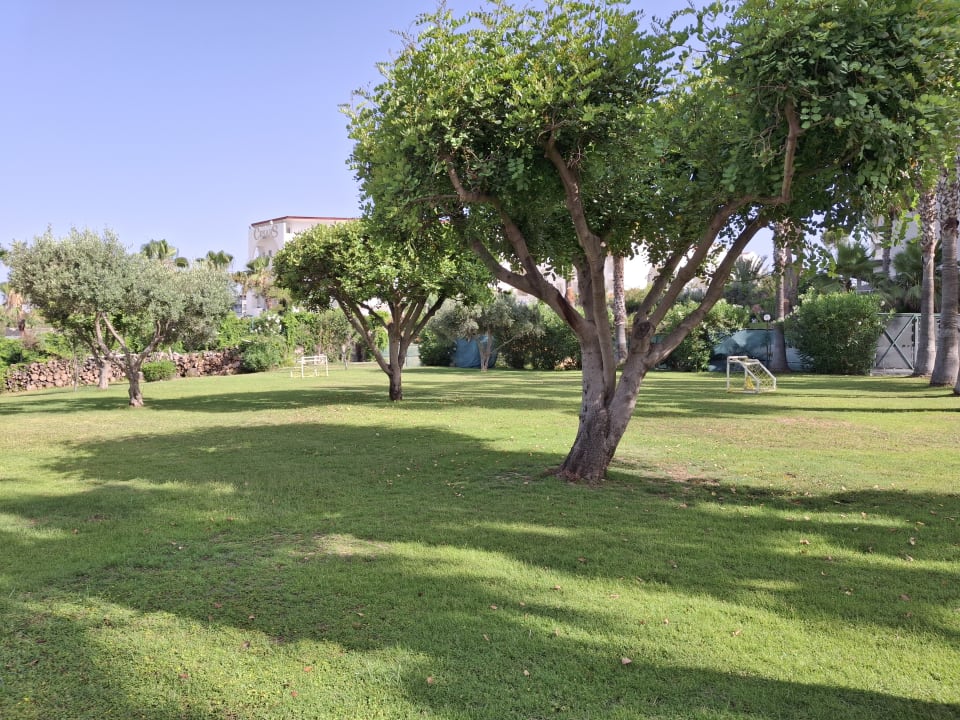 Gartenanlage Hotel Defne Garden